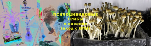 соль курить ск Алексеевка