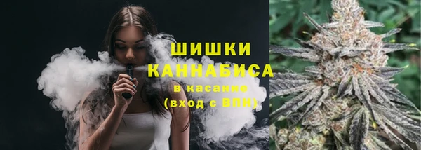 соль ск Алексин