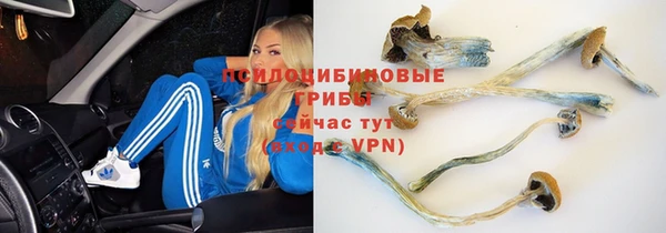соль ск Алексин