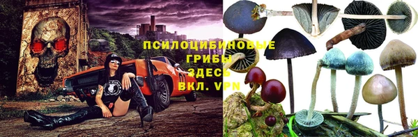 соль курить ск Алексеевка