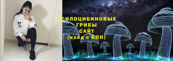 соль ск Алексин