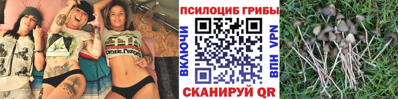 купить наркоту  Камызяк  Галлюциногенные грибы мухоморы 